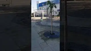 Видео работы водного распылителя на площади города Белореченска