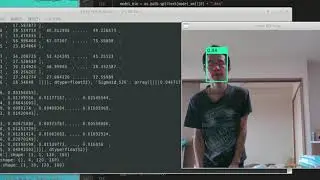 DBFace (640x480) + OpenVINO(FP32) + USB Cam (640x480) + Corei7 only