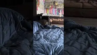 Руки пахнут рубцом 🙈