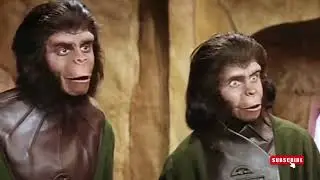 Humans, who always like to experiment on monkeys, have been experimented on by monkeys this time