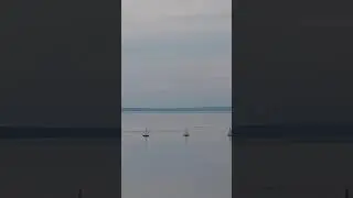 ПРИРОДА.ВОЛГА УЛЬЯНОВСК.