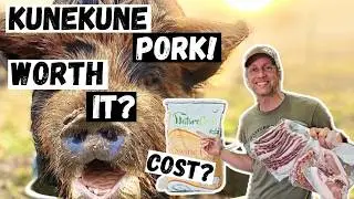 Raising Kunekune Pigs: Bigger Isn’t Better (Here’s the Cost)