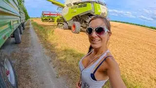 Geht´s schon los mit der Ernte?? Farmer Girl on Claas!