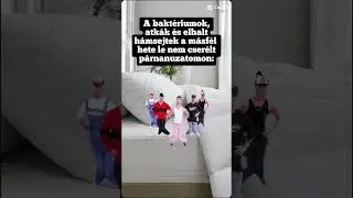 lv 7417162726247533830 20240930185133