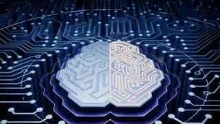 Virtual A.I. Brain Ver.1