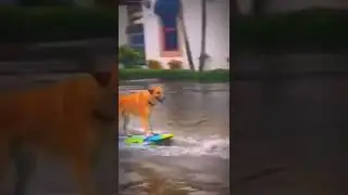 у природы нет плохой погоды! 🤩 приколы 2022 