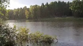 Рибалка на лісовому озері у курортному Моршині.