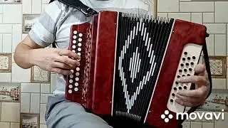 Гармонь, Кировская заказная в ре диез, от мастера.
