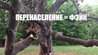 Перенаселение Земли - это фэйк. Глобальные рассуждения при сравнении жизни в Нью-Йорке и Атланте,