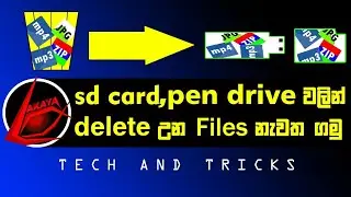 How to Recover Deleted Files from Pen drive or SD card.(Sinhala)