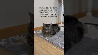 Chip enjoys a good CHOMP