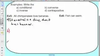 Forms of Conditional Statements