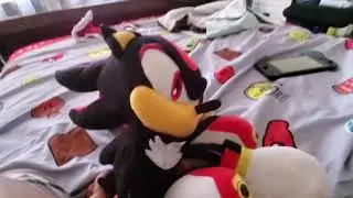 Shadow plays Sonic fighter's