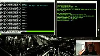 how to use linux screen and bpython interpreter