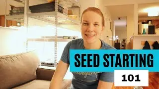 Seed Starting 101