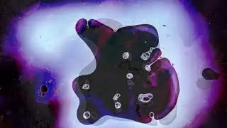DeWalta & Shannon -  'Animalia' (FULL length video) NFT Drop in 24H!