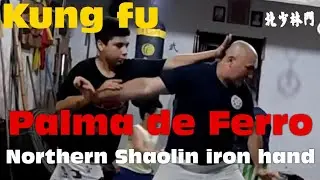 PALMA DE FERRO DO KUNG FU - Como treinar e aplicar em combate / Kung fu iron hand application