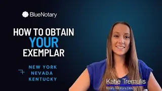 How to Obtain your New York Exemplar [Illinois, Nevada, Kentucky] | BlueNotary
