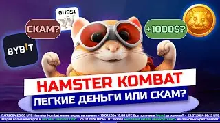 Честный взгляд на Hamster Kombat: реальные деньги или скам?