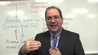 Natural Law and Law in General