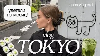 VLOG Япония 🇯🇵 улетела на целый месяц | VLOG ТОКИО