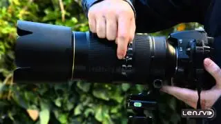 Nikon 80-400mm Hands on and Review