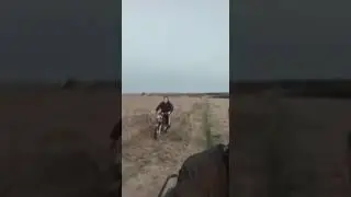 покатухи2023.