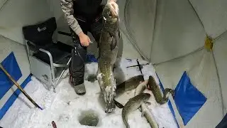 FIRST FISHING TRIP OF 2025 | BURBOT ON THE KNOCK | BEST FISHING OF THIS SEASON