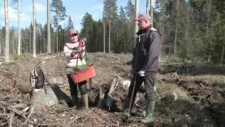 Правильная и удобная посадка леса (с субтитрами на русском языке)