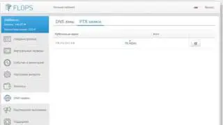 Хостинг FLOPS - VPS, VDS, KVM: Как настроить PTR-запись?