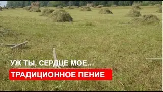«Уж ты, сердце моё»