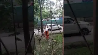 20 августа 2020 г.