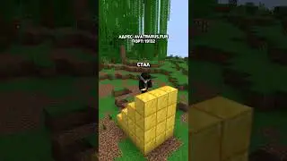 ПАНЯНКА СЕЛЯНКА | Аватарус