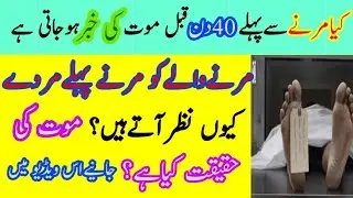 کیا مرنے والے کو مرنے سے 40دن پہلے موت کی خبر ہوجاتی ہے، موت کی حقیقت کیا ہے
