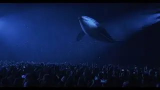 Julien Doré - Nouvel effet de mise en scène sur le aimée tour !