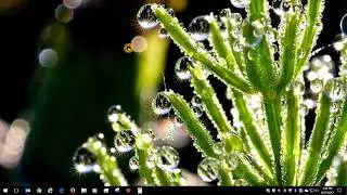 Create a bookmark folder in Google Chrome