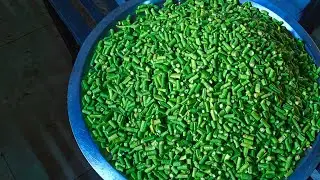 आलू बीन्स की सब्जी | Beans ki sabji | Aloo Beans ki sabji |