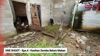 kasihan domba belum makan‼️ONE SHOOT eps.4 ✔️