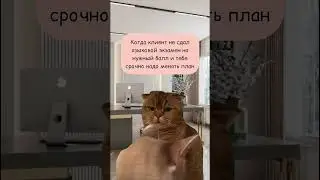 Сдавайте экзамены на нужные баллы, не расстраивайте Алину :)