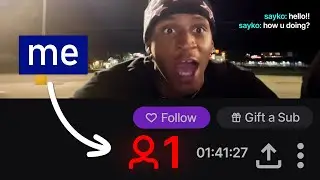 I Spent a Day with 0 View Streamers