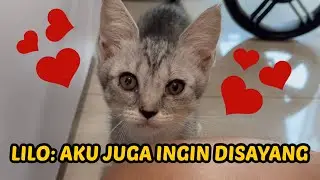 GEMES! LILO DAN KIRA BEREBUT DISAYANG OM WEPE