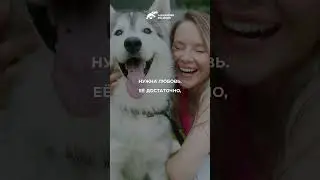 Любовь без ограничений. Александр Палиенко.
