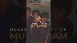 Donate to AWF to Provide Food Packs to Those in Need This Muharram