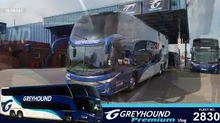 Greyhound Vlog Loading!!!!