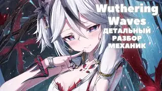 Wuthering Waves ❃ Разбор основных механик ❃ Всё,всё,всё и вопросы подписчиков