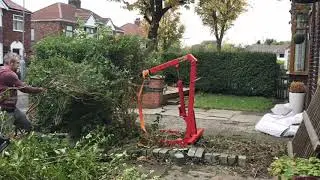 Remove Hedge Using Engine Hoist
