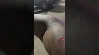 Dababy Fights His Giant Security Guard & Knocks 🥊 Him Out. 