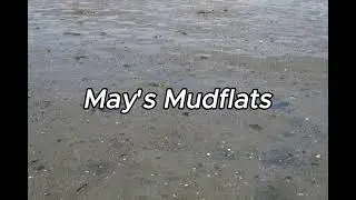 May's Mudflats (A Quicksand Story Narration)