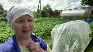 Июль. Деревня. Жизнь. Первые заготовки, праздники и покупки! И опять СМОРОДА)))
