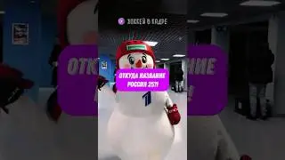 ЧТО ЗА РОССИЯ 25? И почв такое название?! 